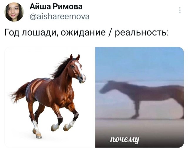 Скрины из соцсетей