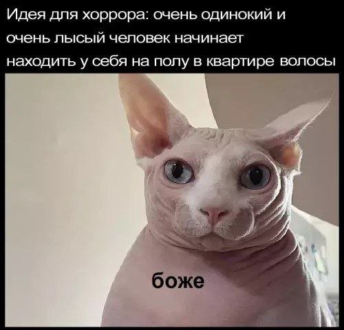 Скрины из соцсетей