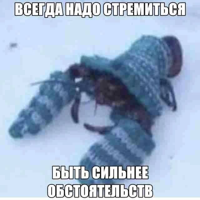 Скрины из соцсетей