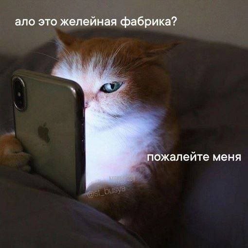 Скрины из соцсетей