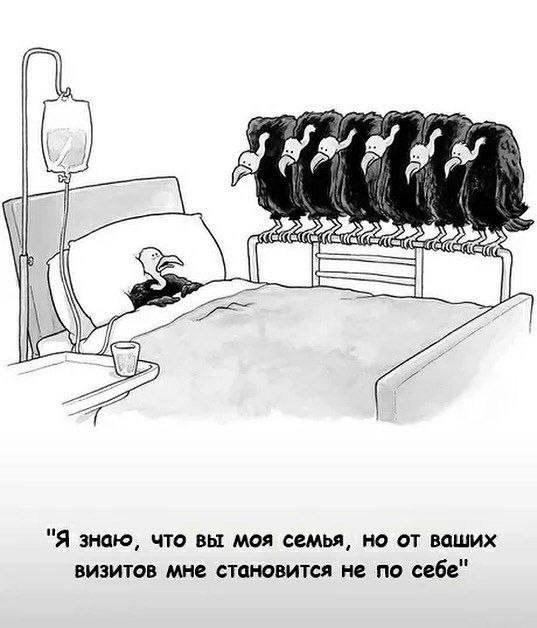 Скрины из соцсетей