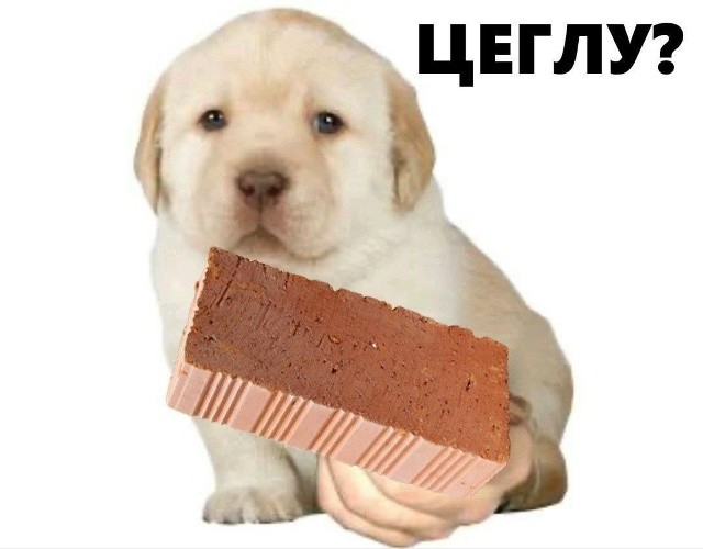 На фоне отсутствия электричества и тепла в Киеве выросли цены на… КИРПИЧИ