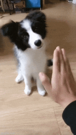 Просто гифки, всякие и&nbsp;разные