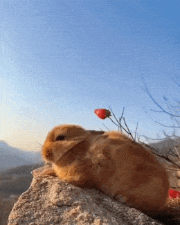 Просто гифки, всякие и&nbsp;разные