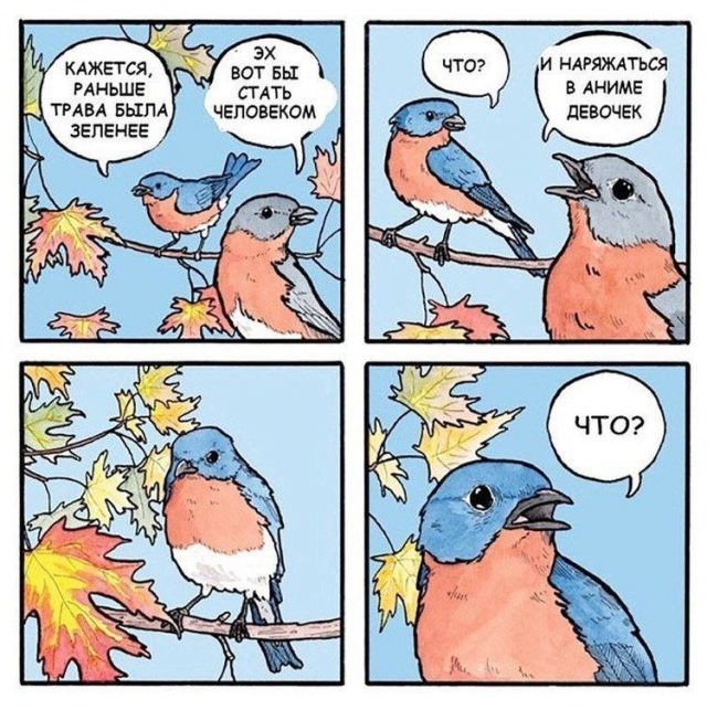 Скрины из соцсетей
