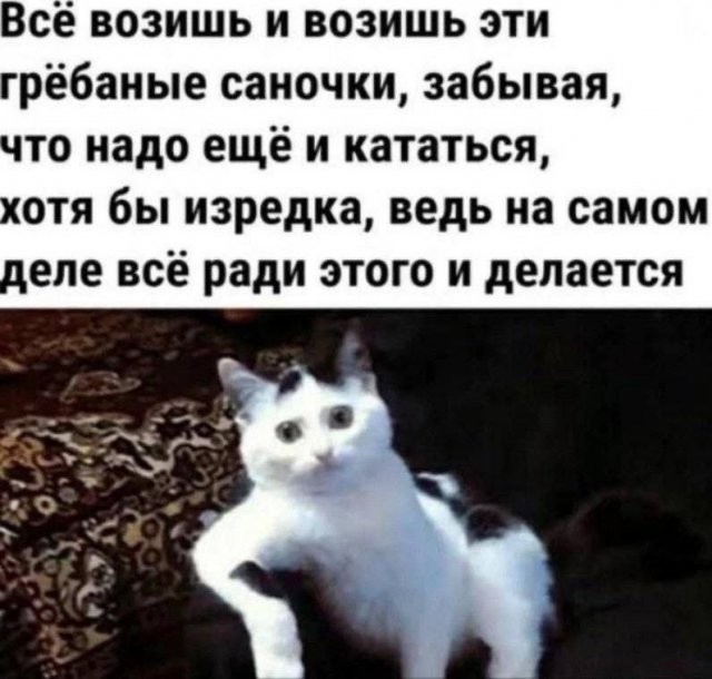 Скрины из соцсетей