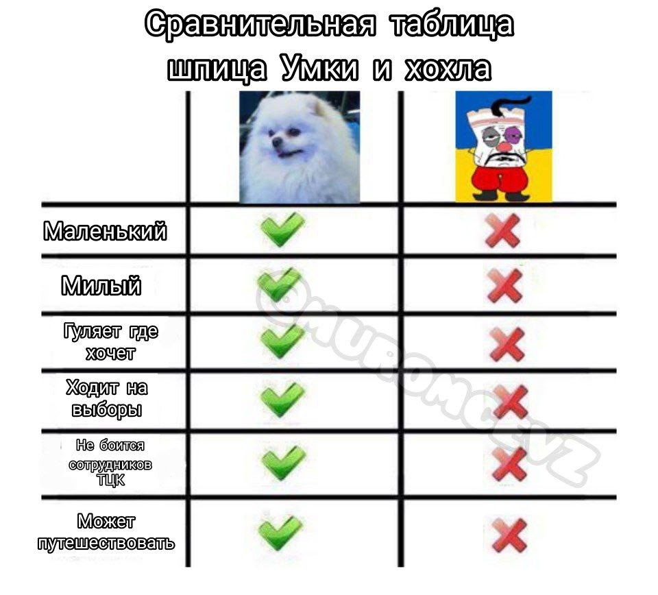 Политическая рубрика от&nbsp;NAZARETH за&nbsp;27.01.26. Новости, события, комментарии - 1994