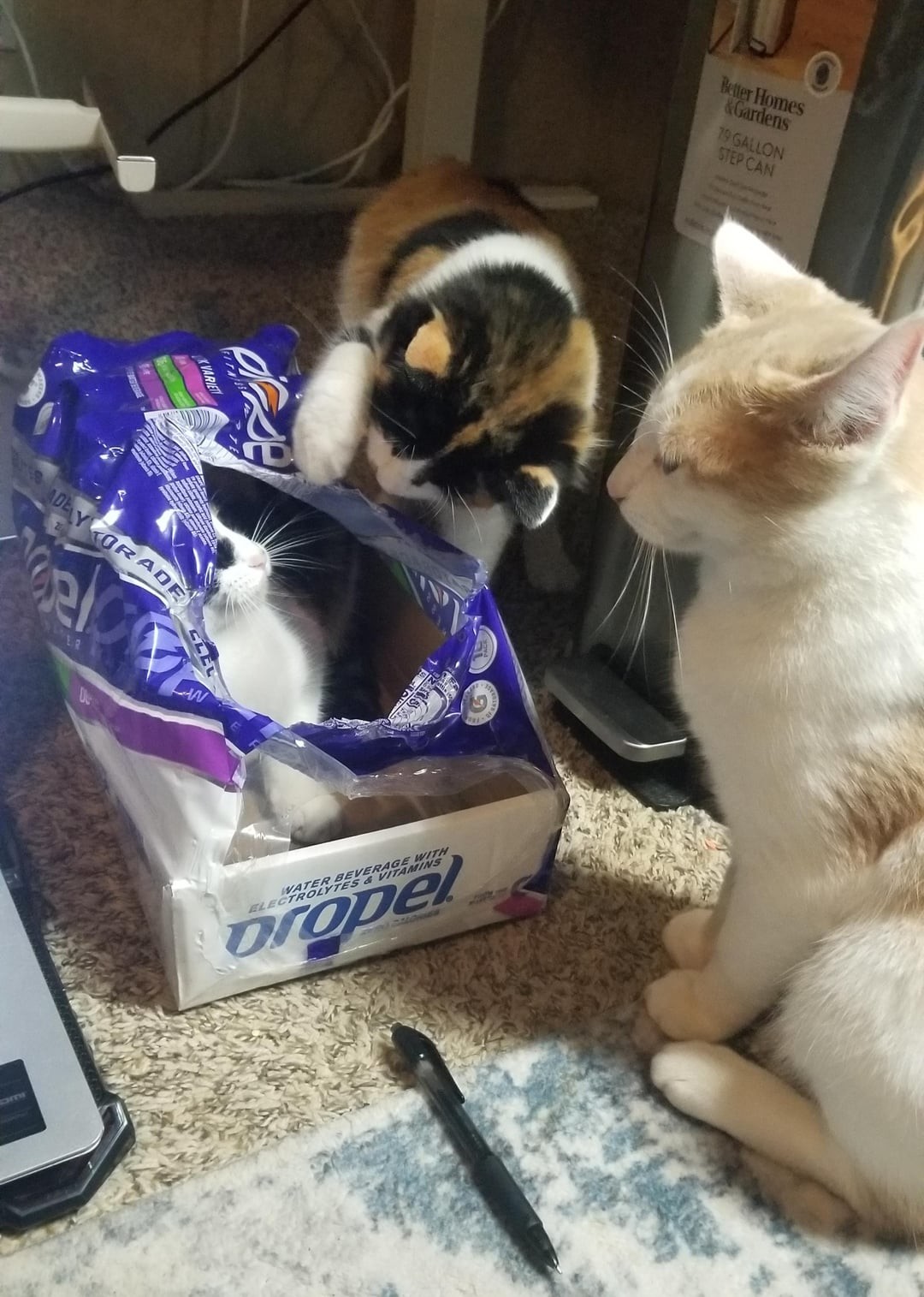 12. Развлечь себя можно любым доступным способом и предметом