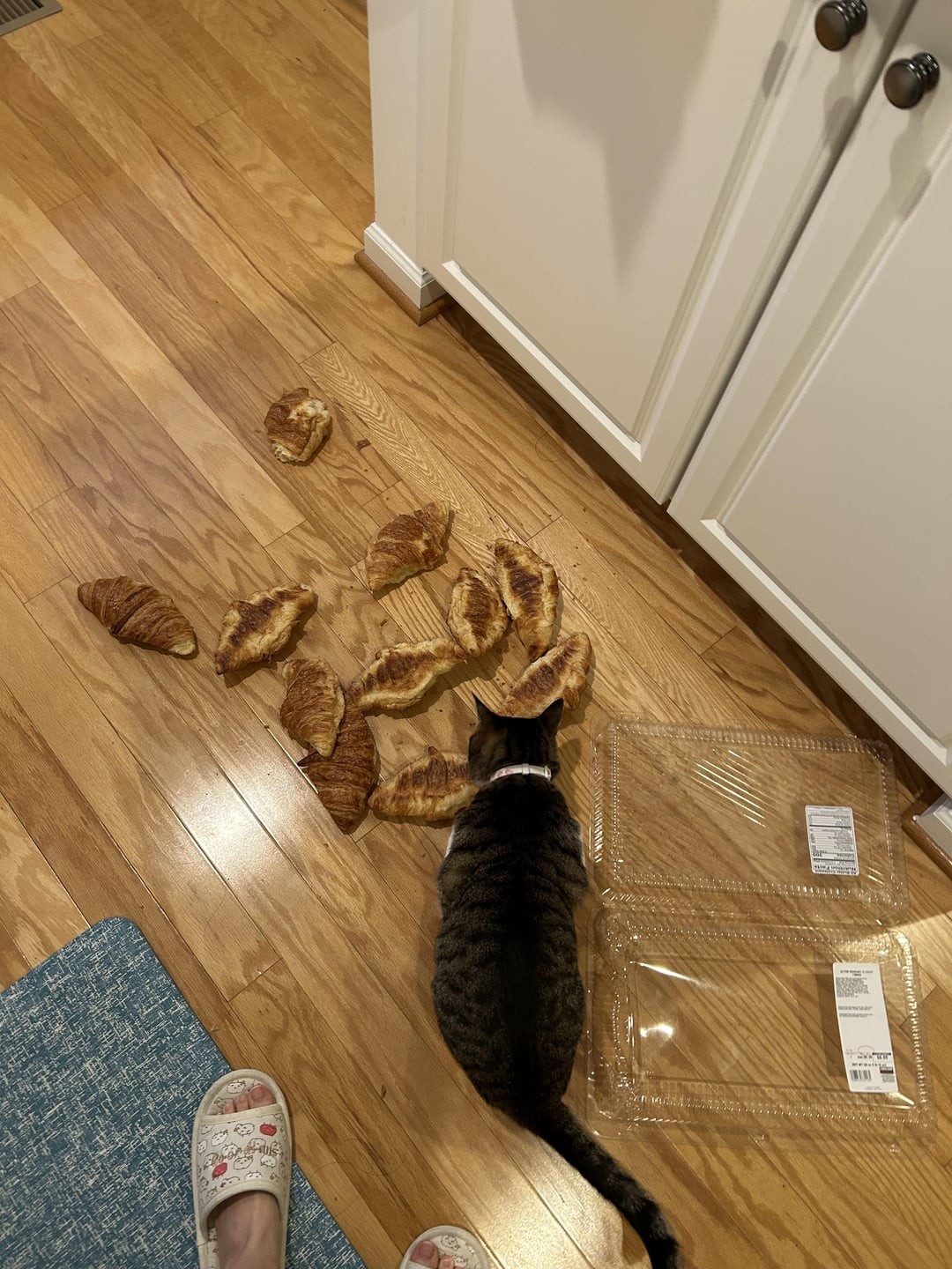 6. И пусть я плюшки все не съем, но облизать я их обязан