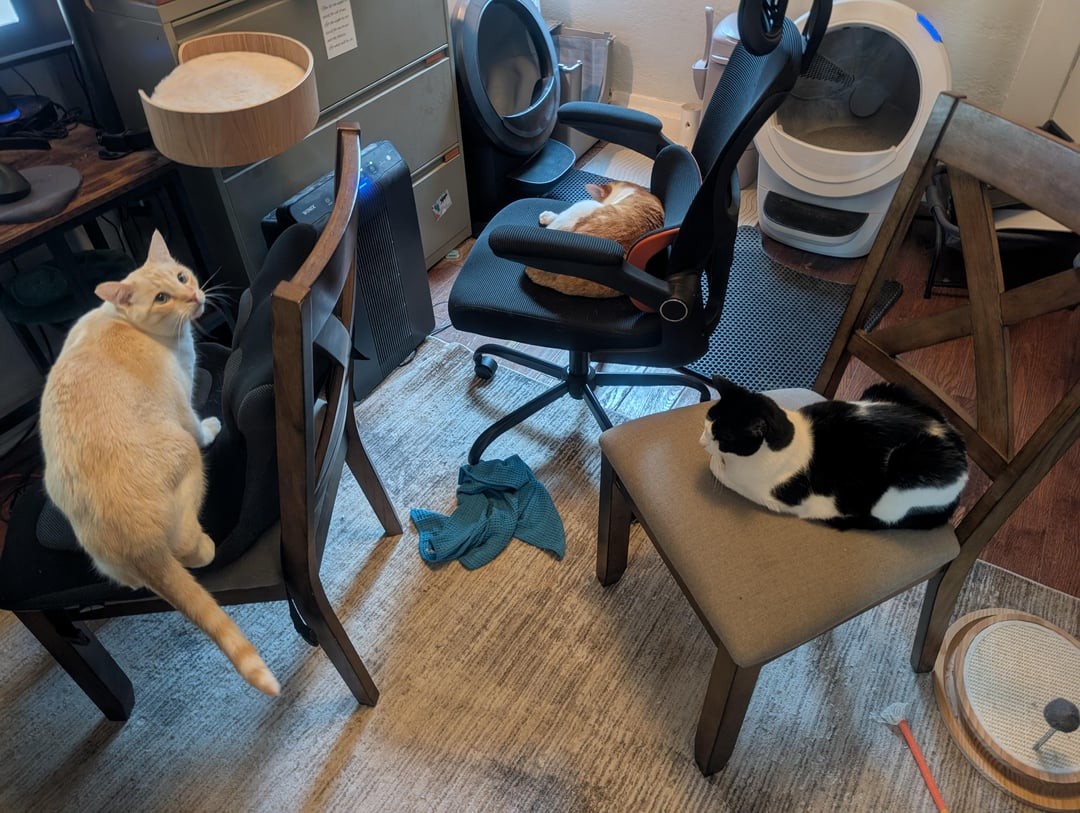 10. Коллективно познаём дзен