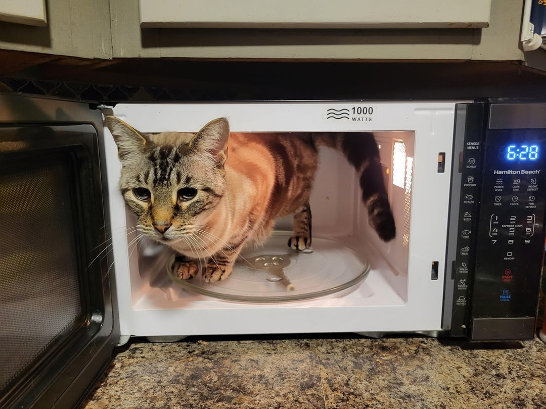 20. К нам прибыл ревизор