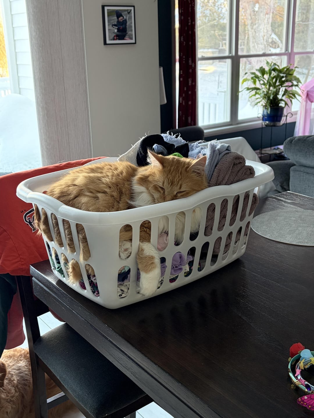 1. Мечты в корзинке