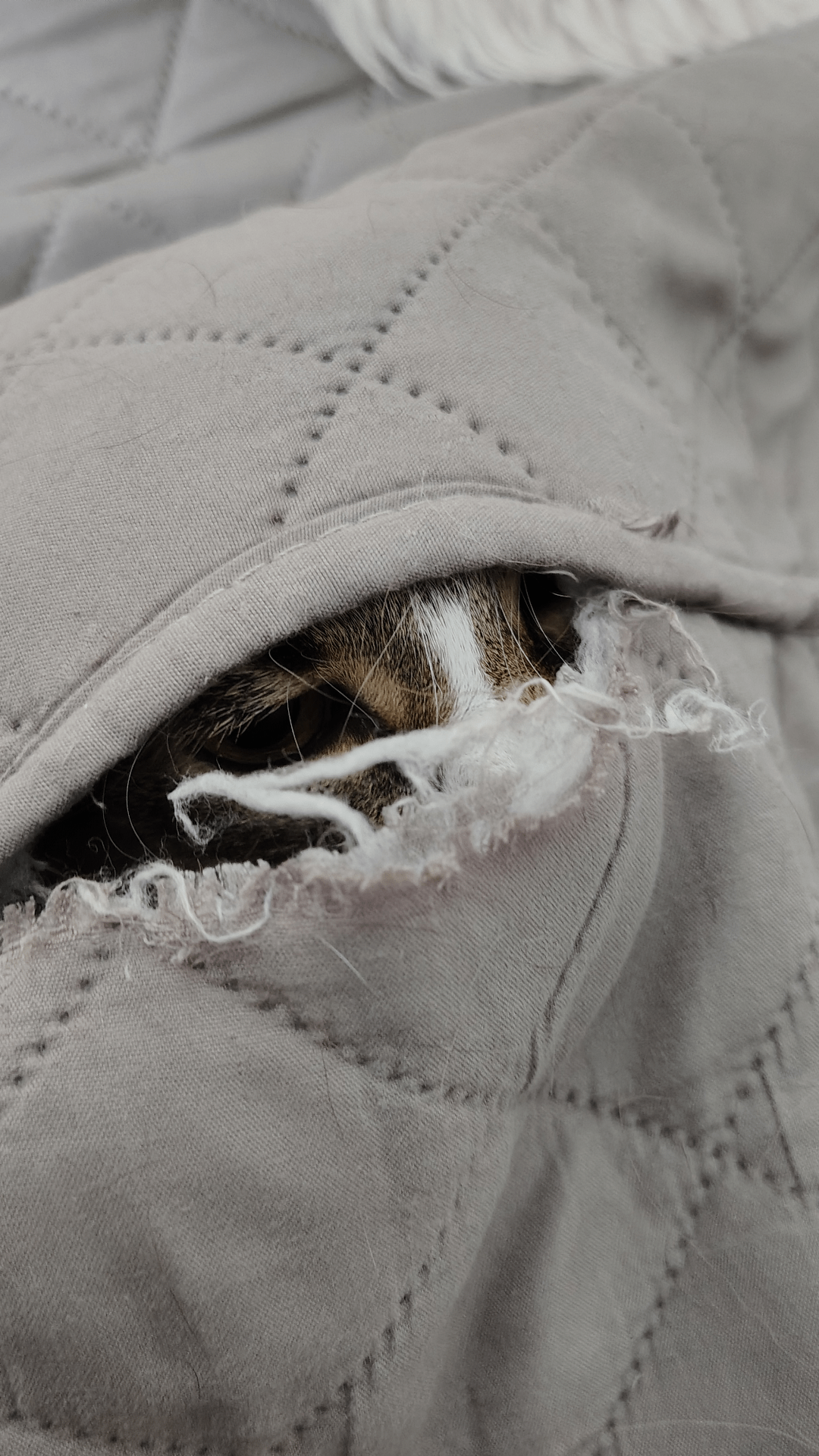 8. Кто скрывается внутри?