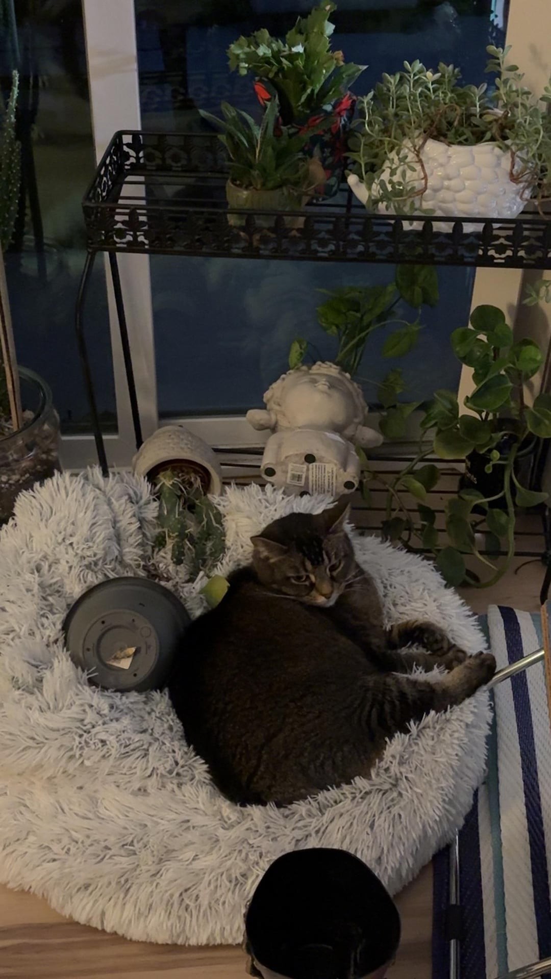 2. Полёт цветов