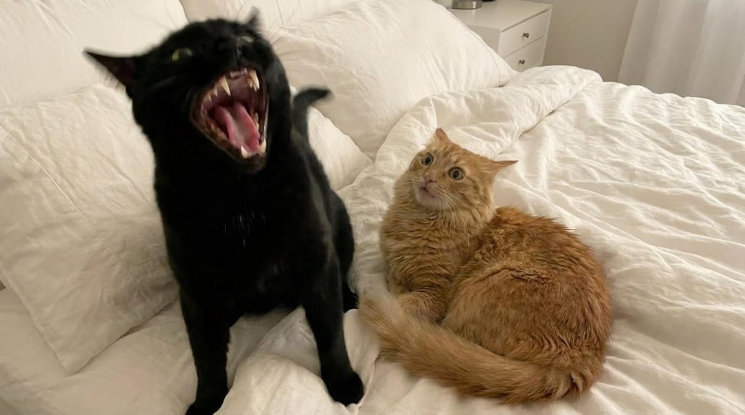 16. Нам нужен экзорцист