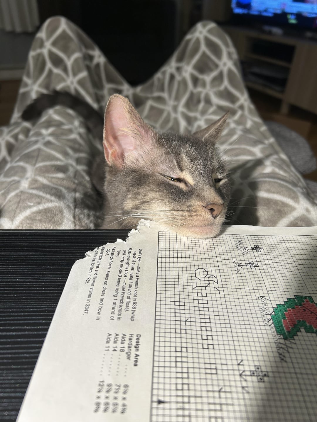 19. Художник и его художества