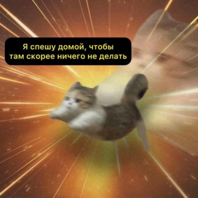 Скрины из соцсетей