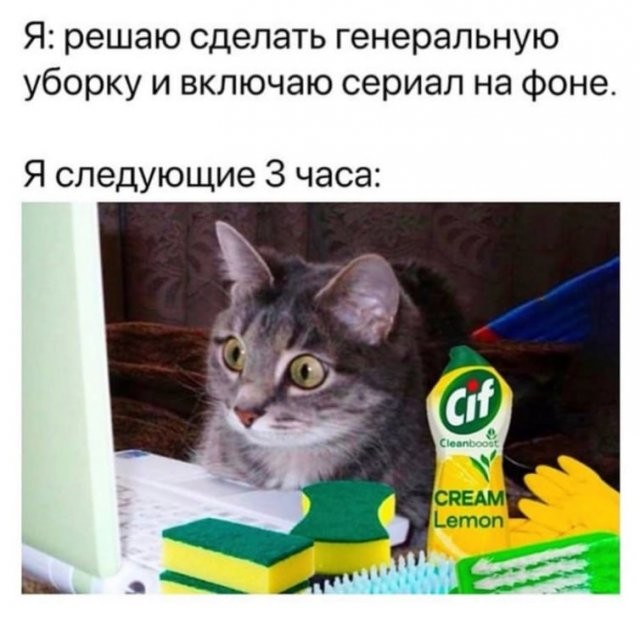 Скрины из соцсетей