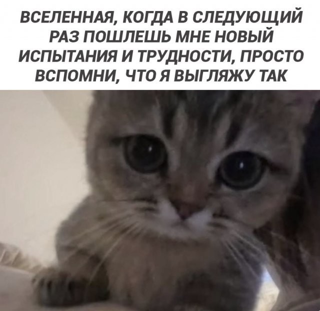 Скрины из соцсетей