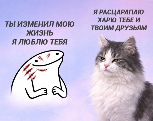 Скрины из соцсетей