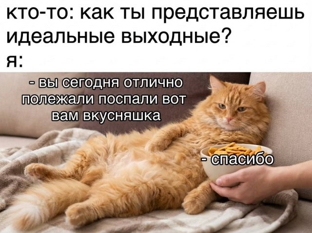 Скрины из соцсетей