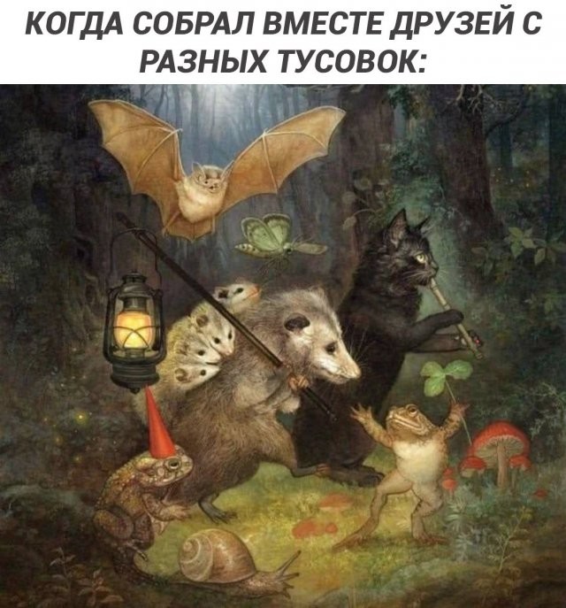 Скрины из соцсетей