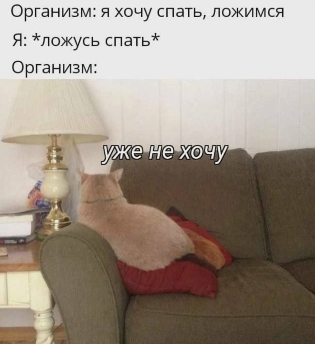Скрины из соцсетей