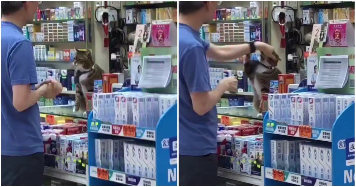 Мужчина пристаёт к пушистому сотруднику магазина