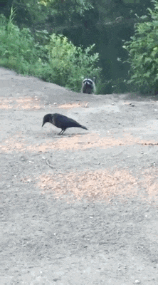 Просто гифки, всякие и&nbsp;разные