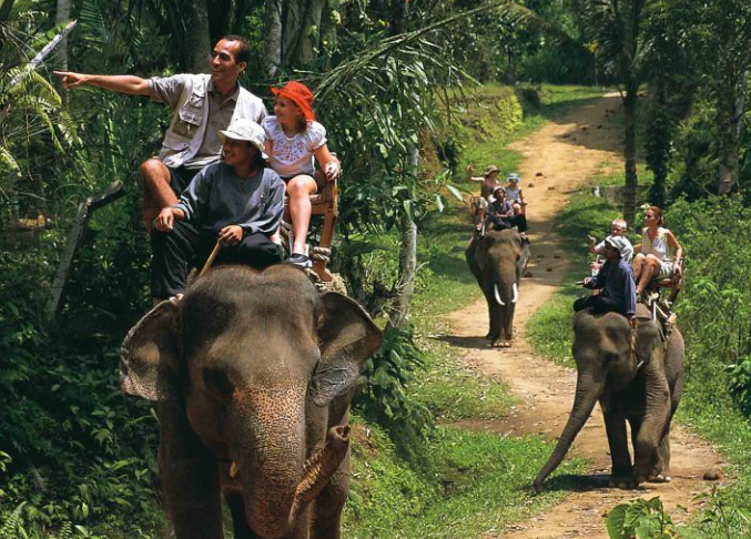 На слонах больше не покатаешься – лавочку прикрыли