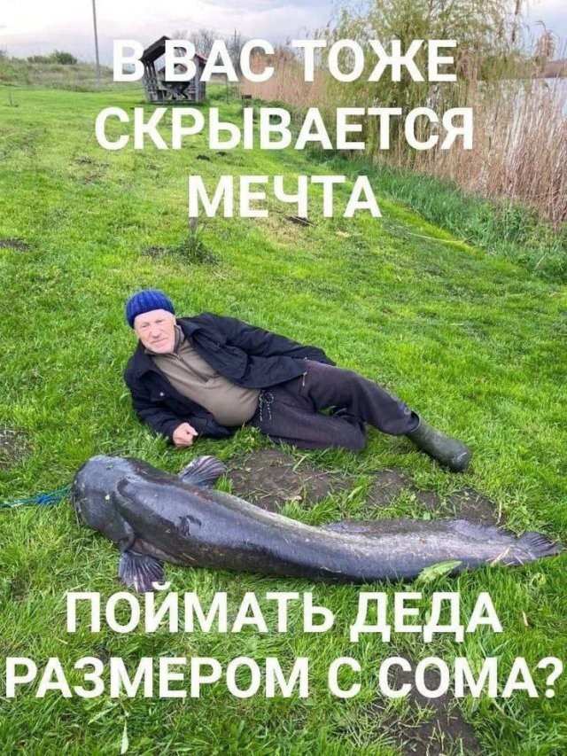Скрины из соцсетей