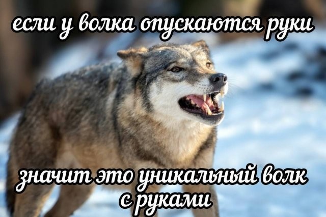 Скрины из соцсетей