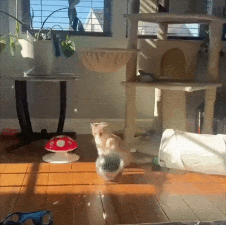 Просто гифки, всякие и&nbsp;разные