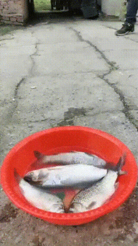 Просто гифки, всякие и&nbsp;разные