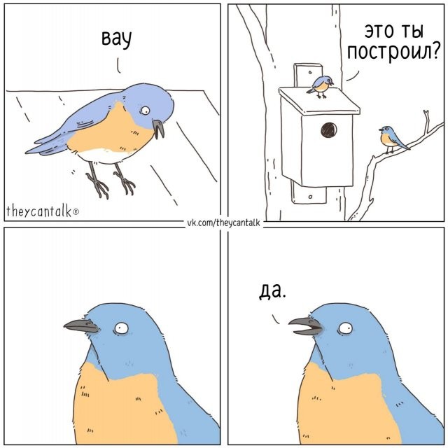 Скрины из соцсетей