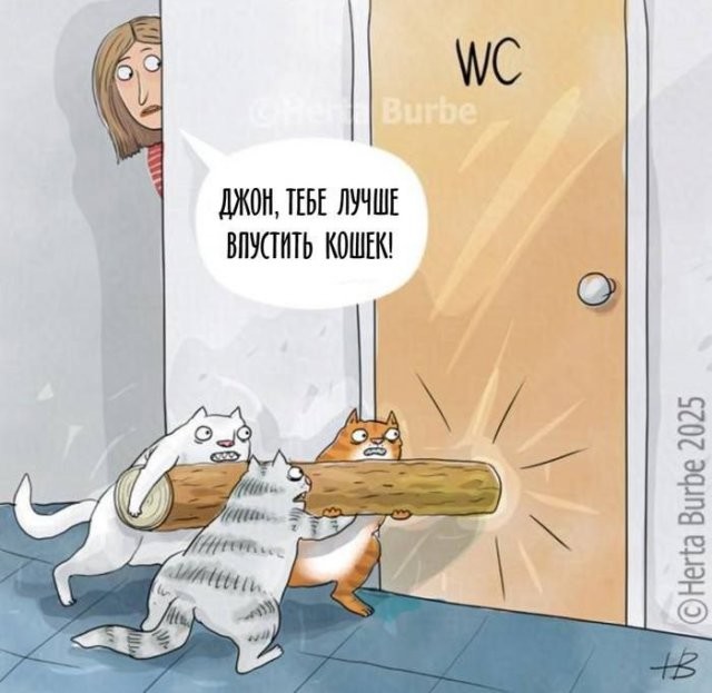 Скрины из соцсетей