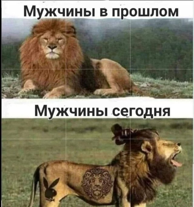 Скрины из соцсетей