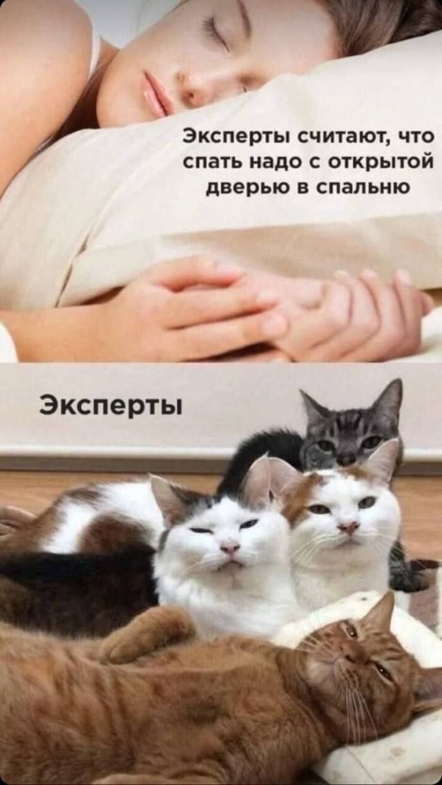 Скрины из соцсетей