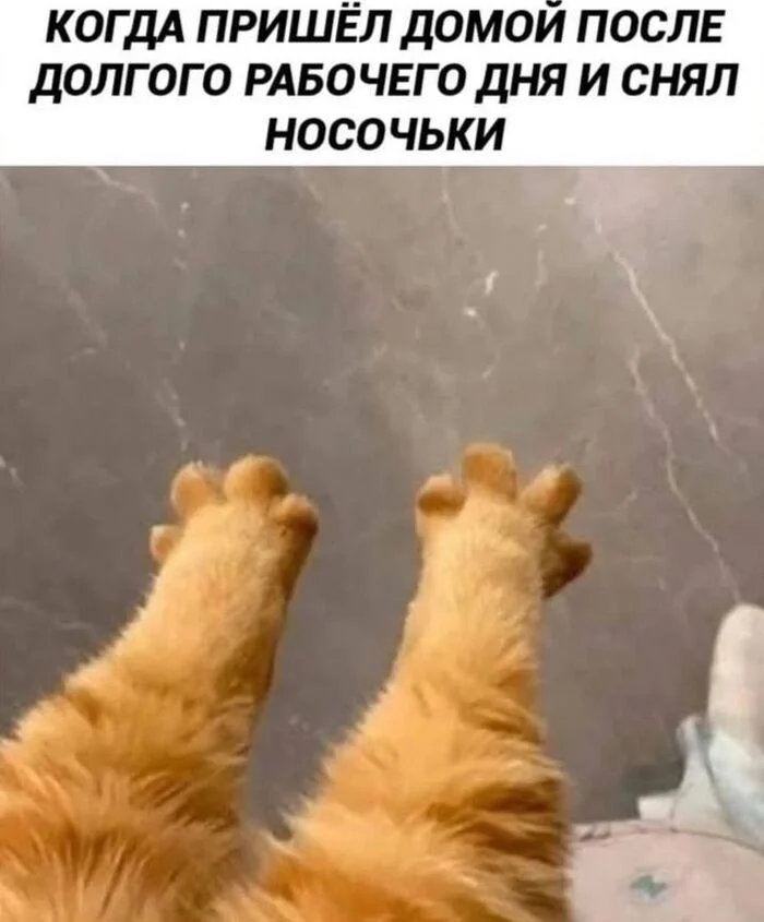 Не ищите здесь смысл. Здесь в основном маразм