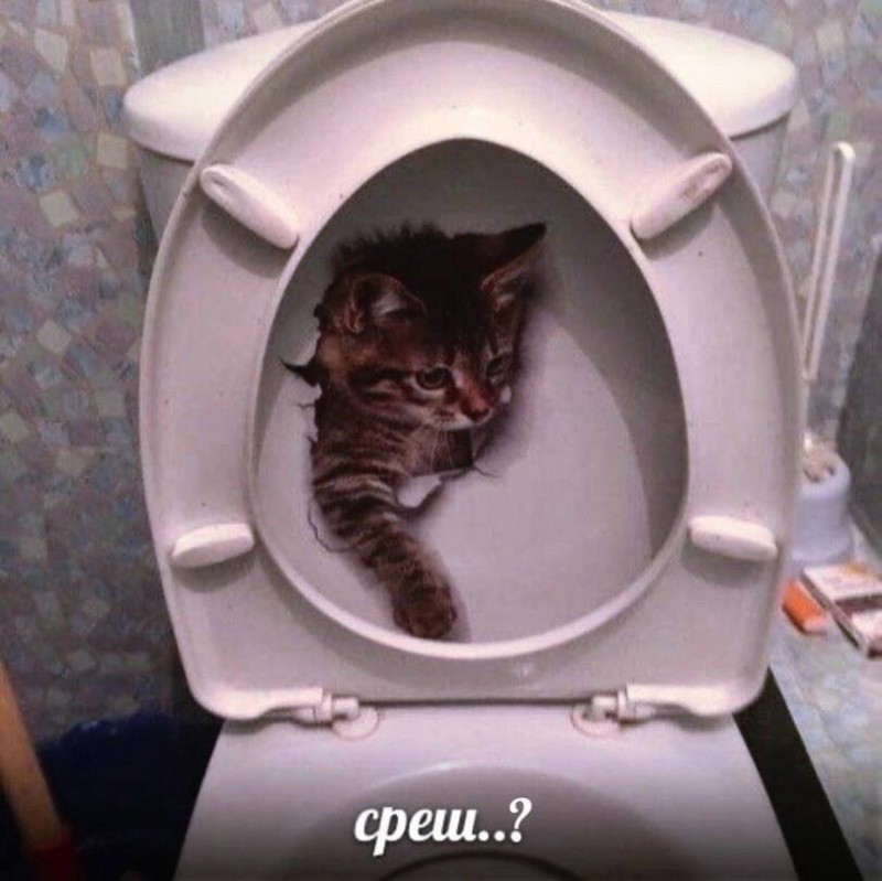 Не ищите здесь смысл. Здесь в основном маразм