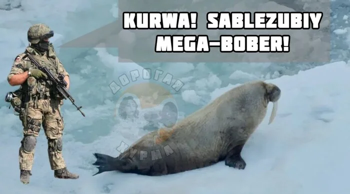 Не ищите здесь смысл. Здесь в основном маразм