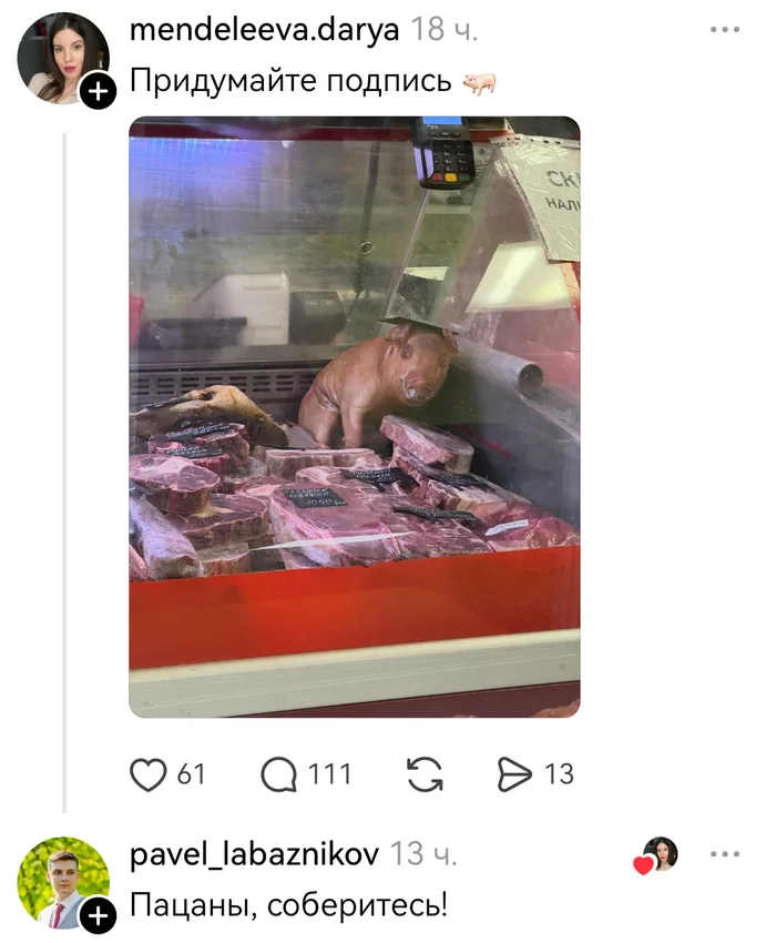 Не ищите здесь смысл. Здесь в основном маразм