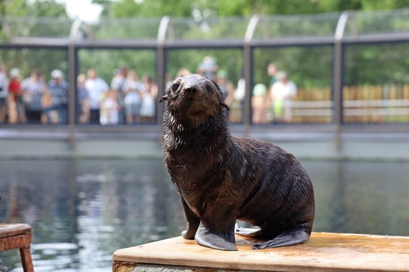 Московский зоопарк установил мировой рекорд по числу представленных видов животных