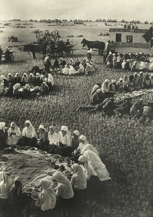 Не может быть... Начало 30-х годов. Где-то под Харьковом. Обед в поле. Как обед? Голодомор же...