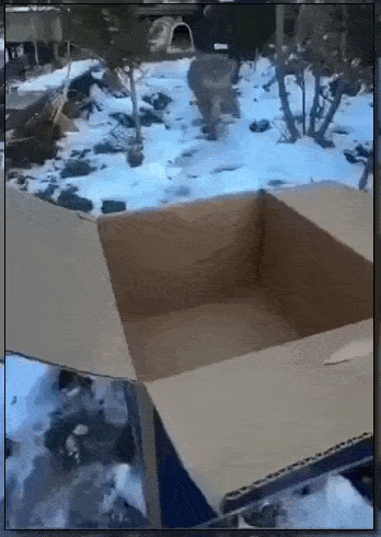 Просто гифки, всякие и&nbsp;разные