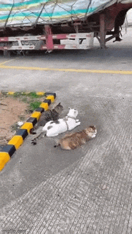 Просто гифки, всякие и&nbsp;разные