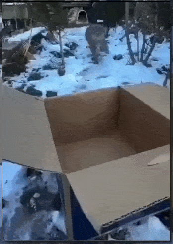 Просто гифки, всякие и&nbsp;разные