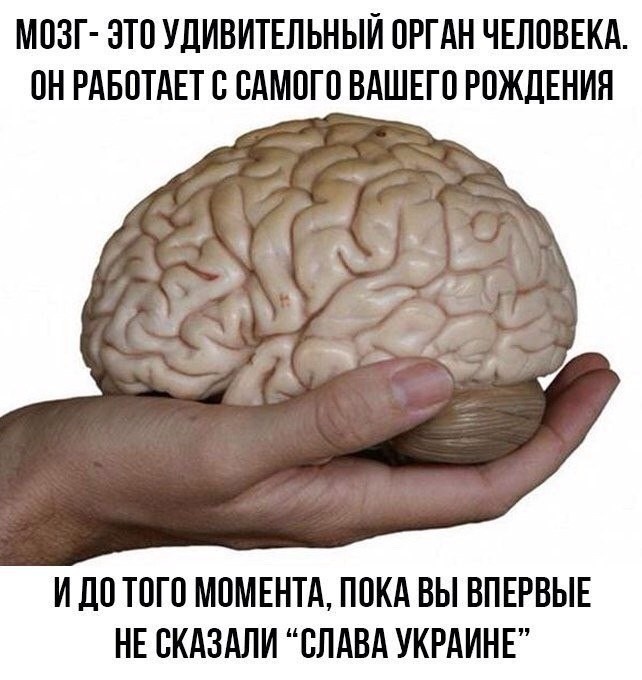 О политике и малость об оппозиции