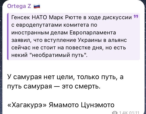 О политике и малость об оппозиции