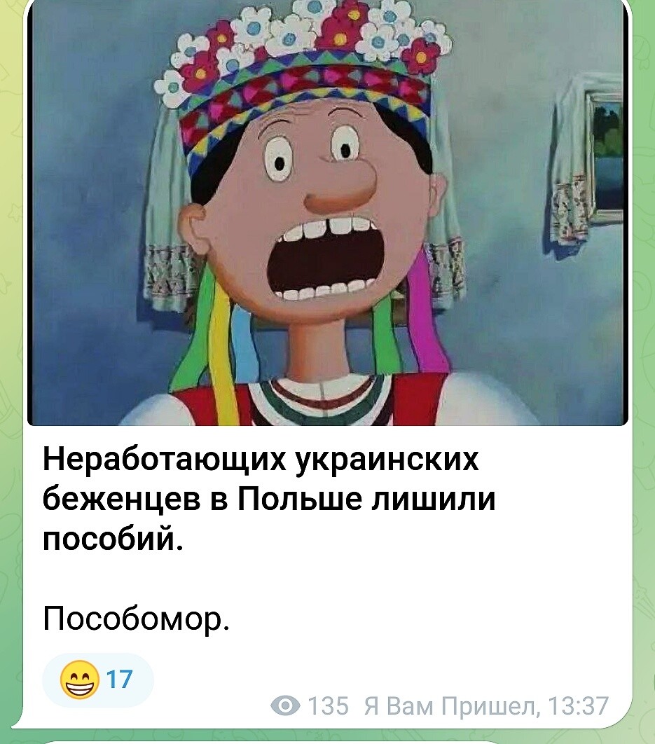 О политике и малость об оппозиции
